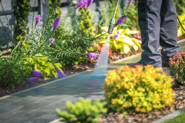Best Driveway Pressure Washing  in Mchenry, IL